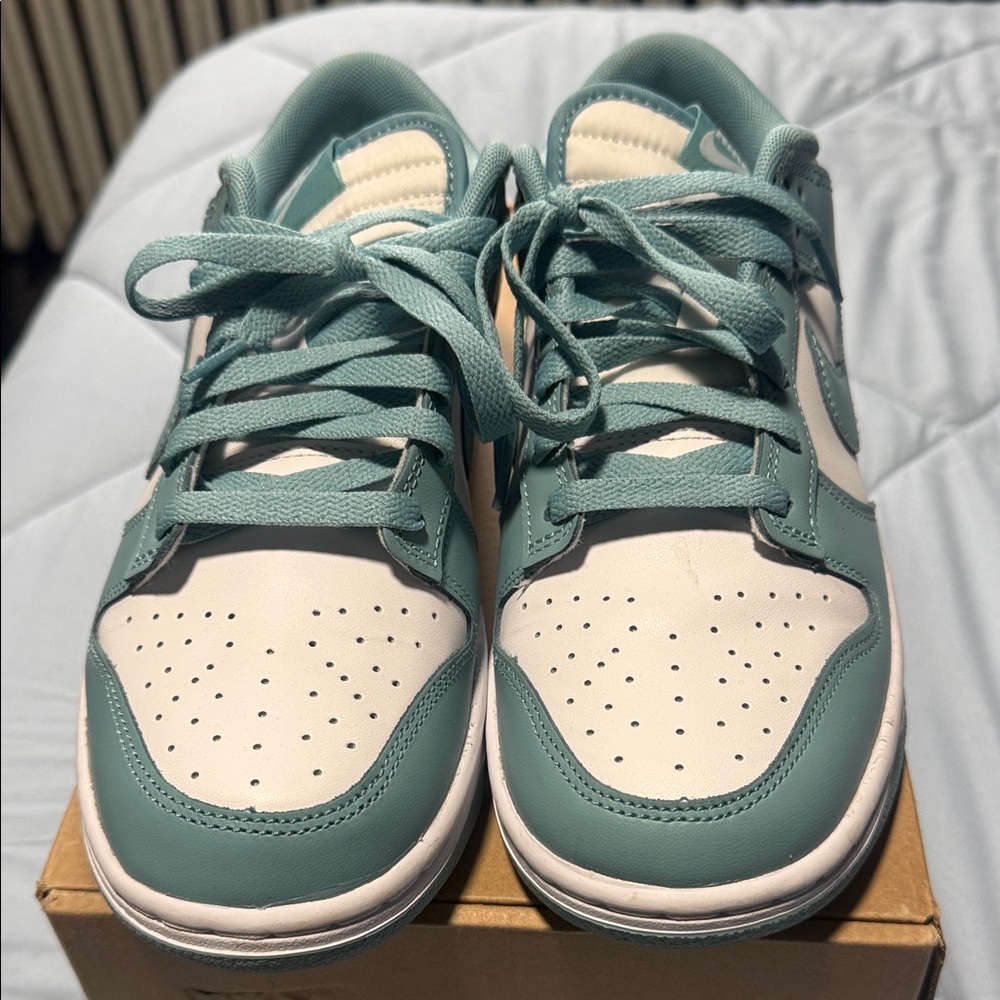 Men’s Nike Dunk -Low Teal and White Sneakers